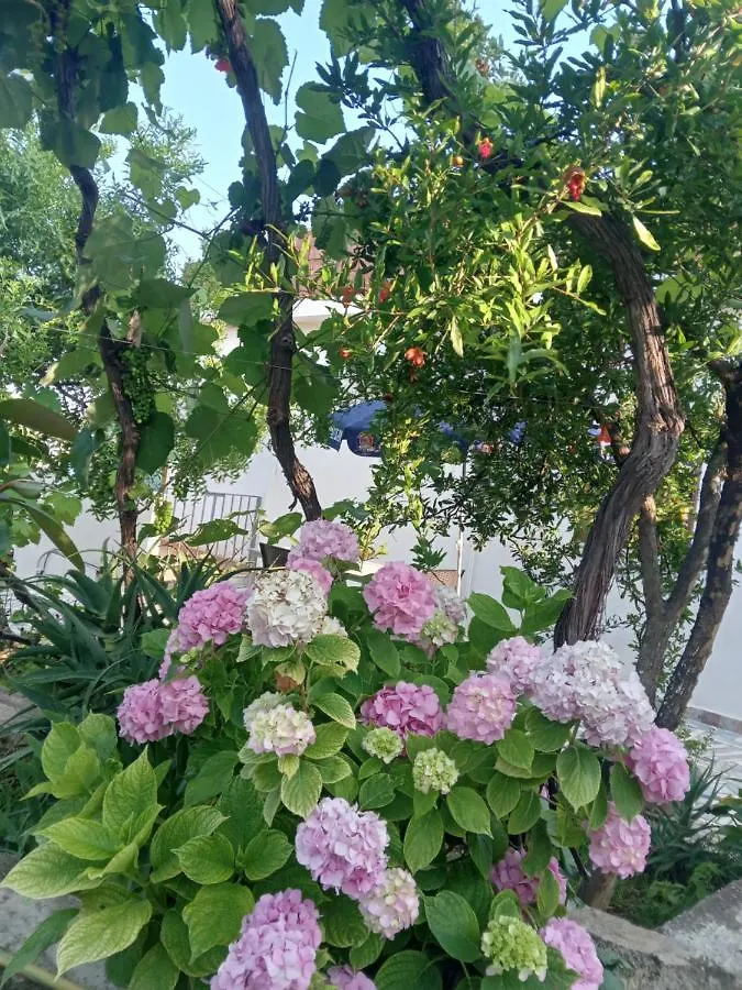 Vjollca'S Home Sarande Holiday home