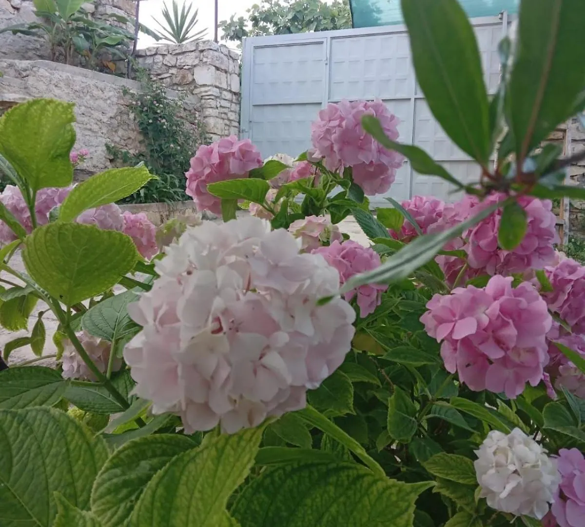 Vjollca'S Home Sarande