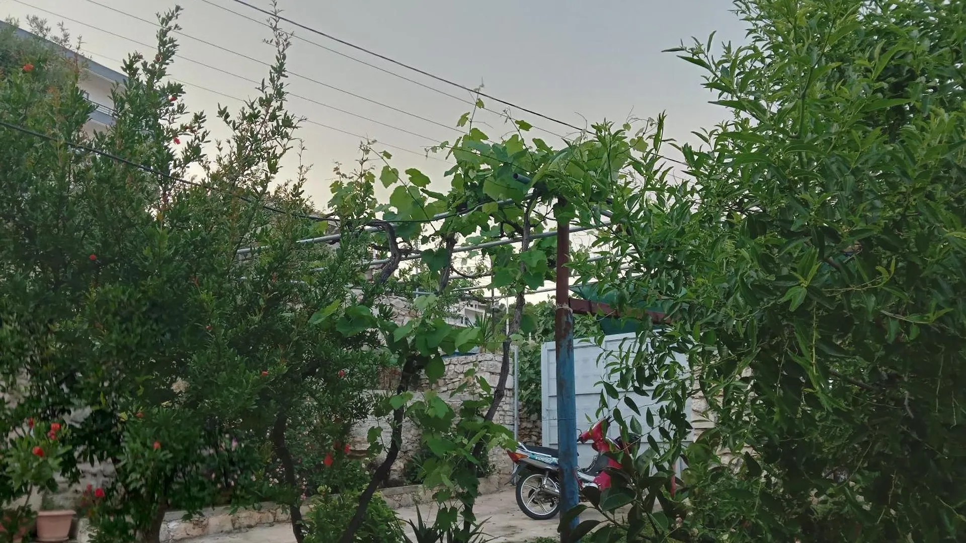 Vjollca'S Home Sarande 0*,