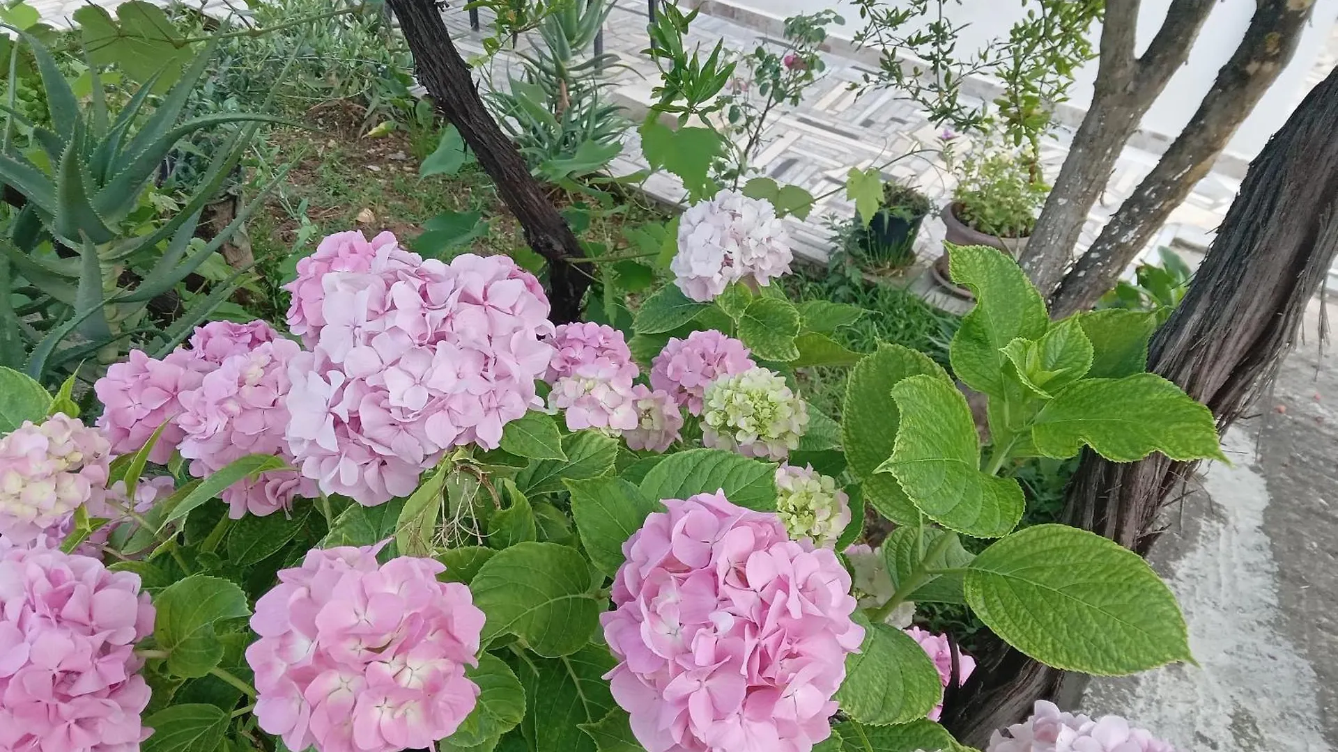 Vjollca'S Home Sarande Holiday home