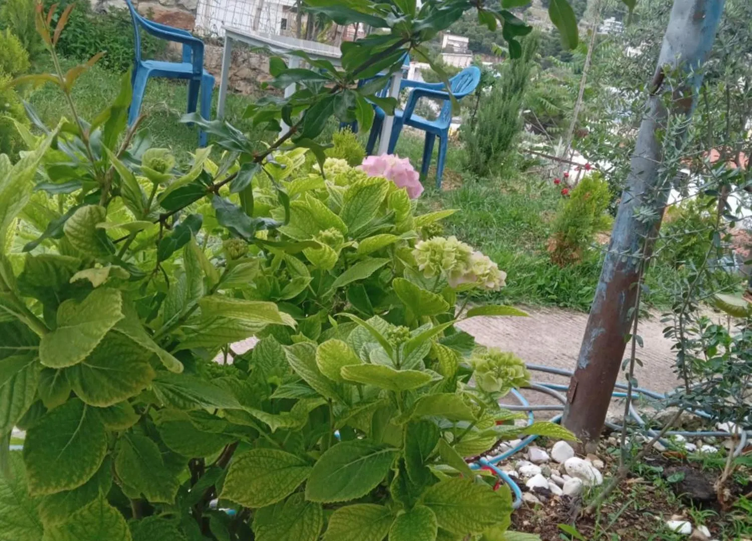 Vjollca'S Home Sarande