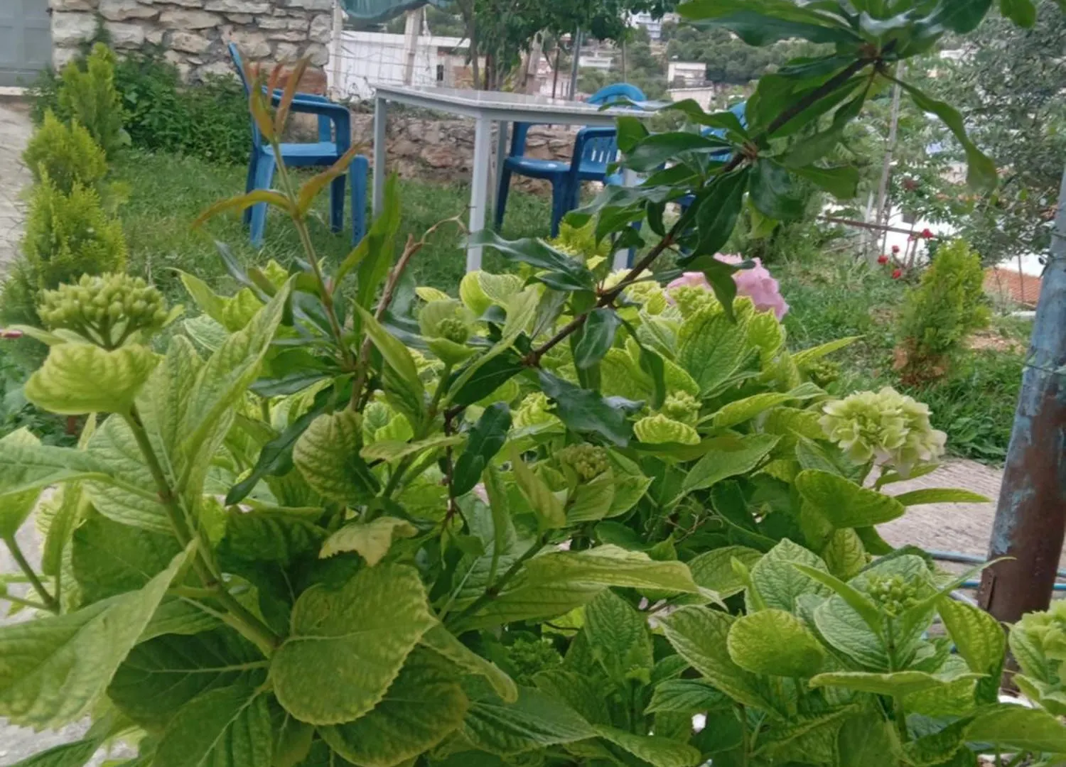 Holiday home Vjollca'S Home Sarande