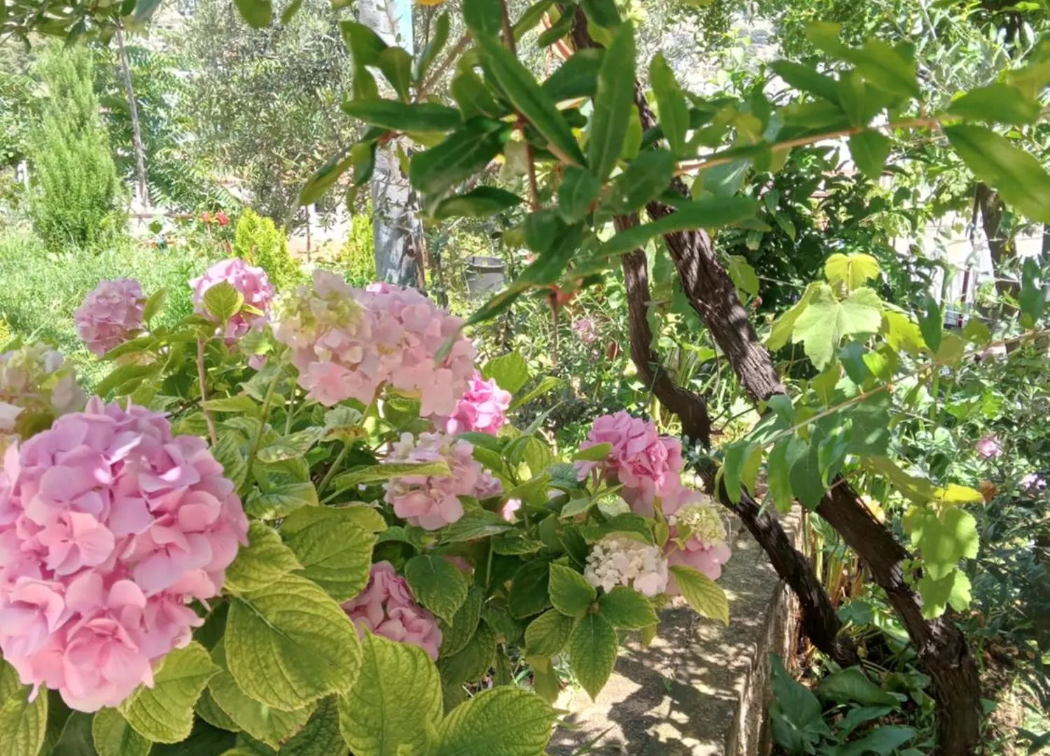 Holiday home Vjollca'S Home Sarande