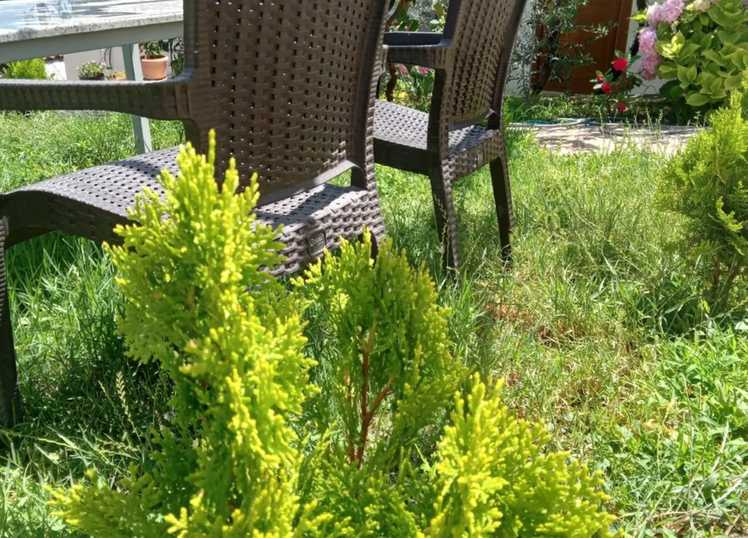 Vjollca'S Home Sarande
