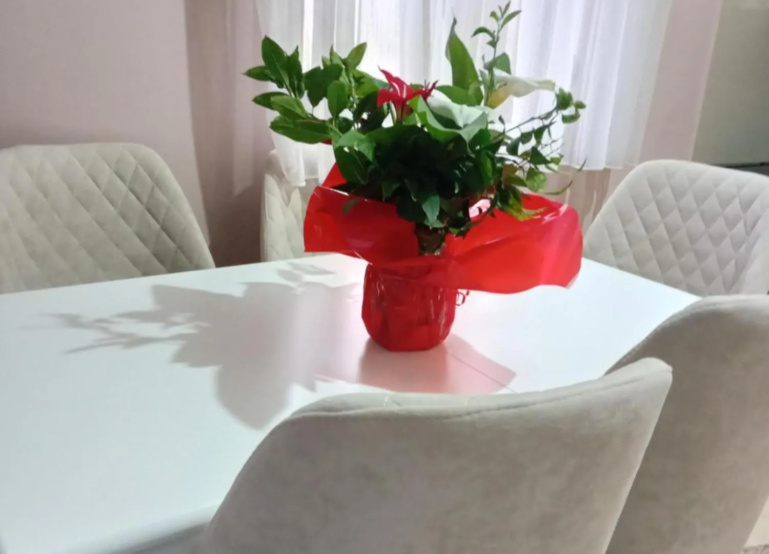 Vjollca'S Home Sarande Albania