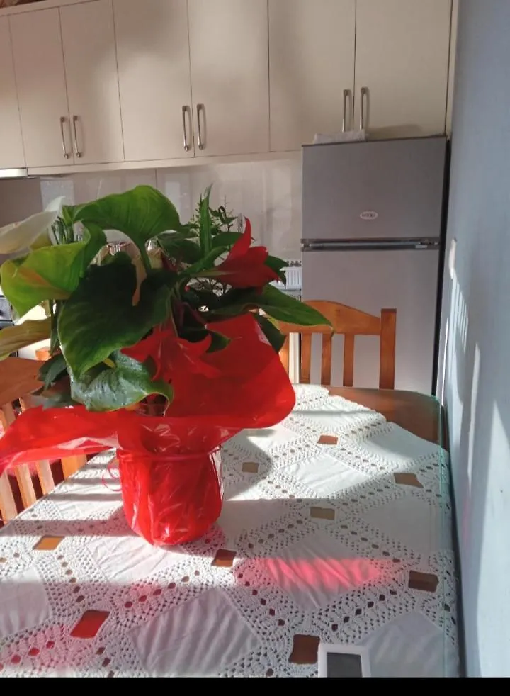 Vjollca'S Home Sarande