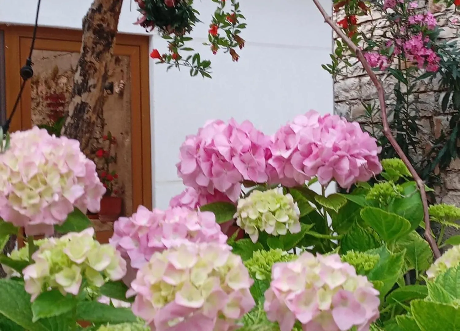 Holiday home Vjollca'S Home Sarande