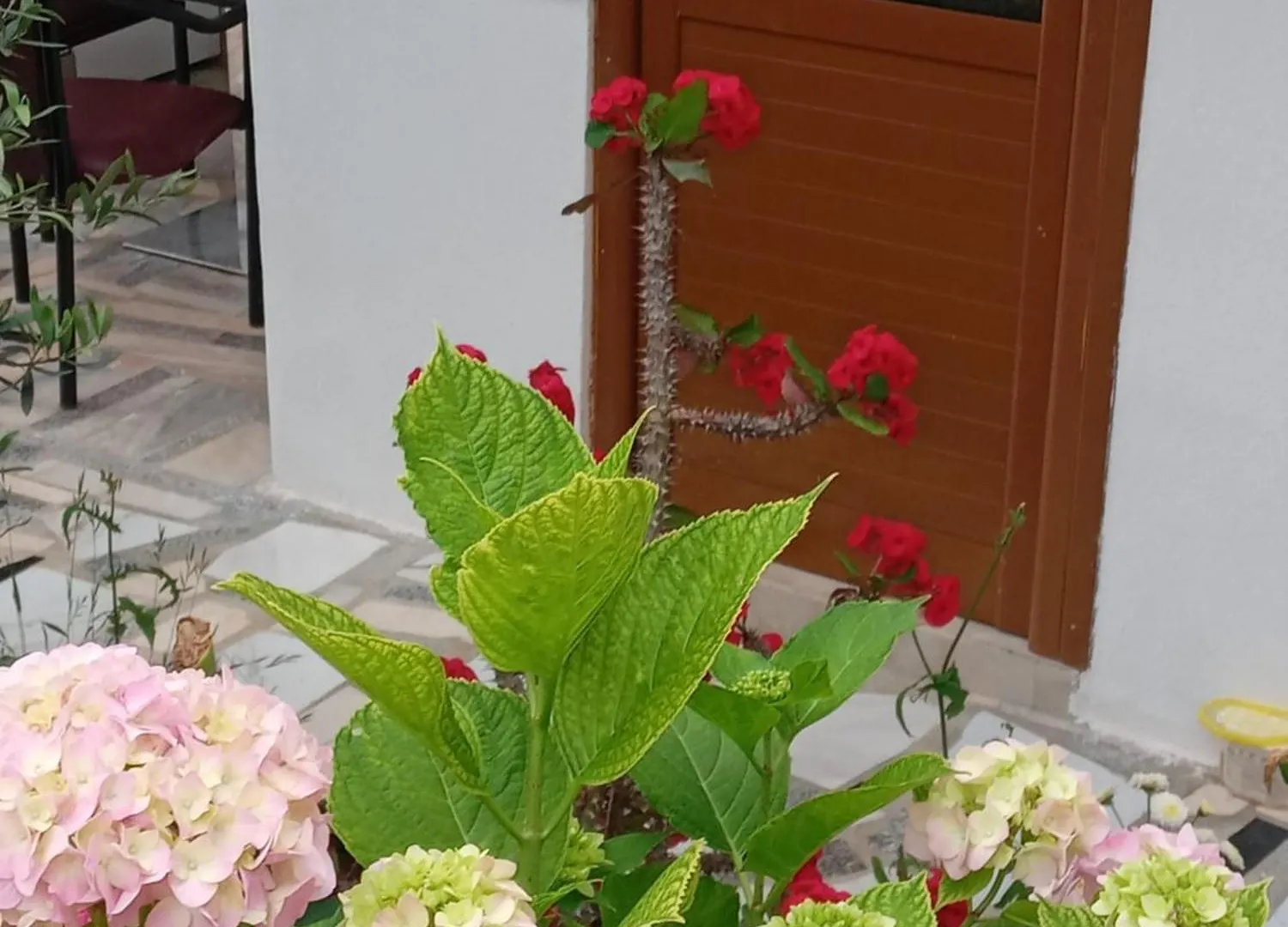 Vjollca'S Home Sarande Holiday home