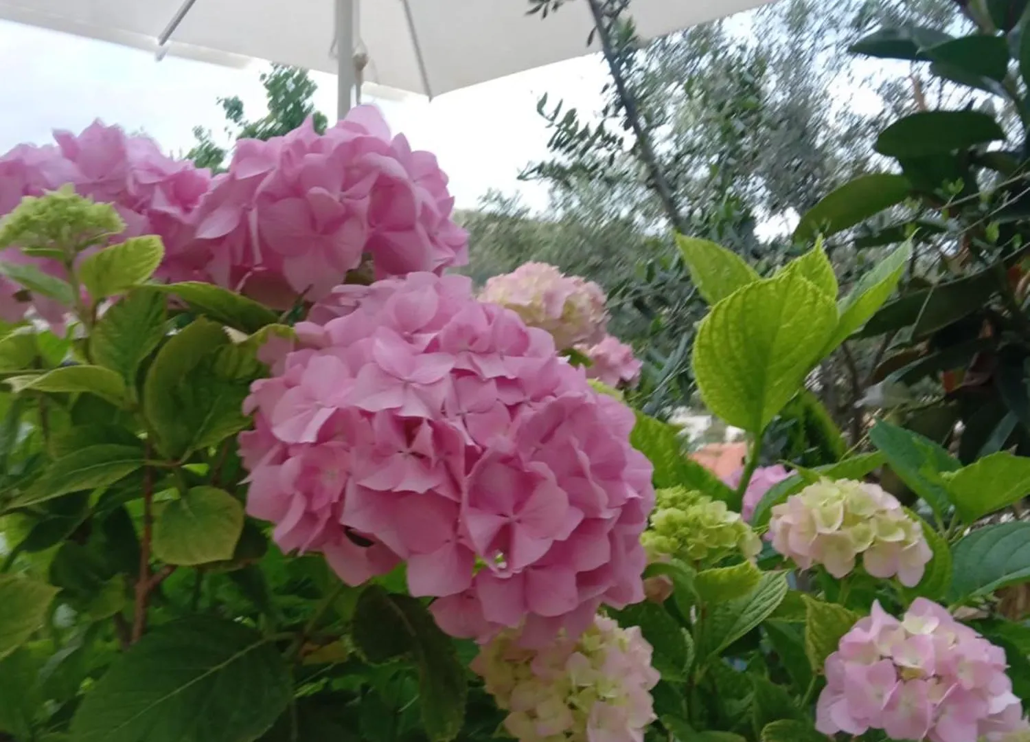 Holiday home Vjollca'S Home Sarande Albania